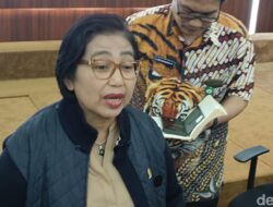Debat Strategi Unik BGN untuk Makan Bergizi Gratis: Kostum Power Rangers vs. Daya Tarik Menu dan Edukasi Holistik