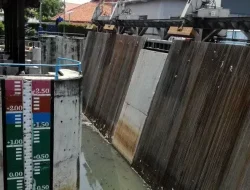 Hujan Guyur Jakarta, Pintu Air Angke Hulu Siaga 1, 154 RT Terendam Banjir