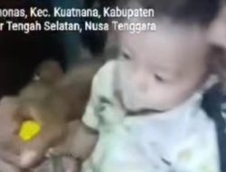 Ayah di NTT Paksa Bayi 11 Bulan Minum Miras, Polisi Turun Tangan
