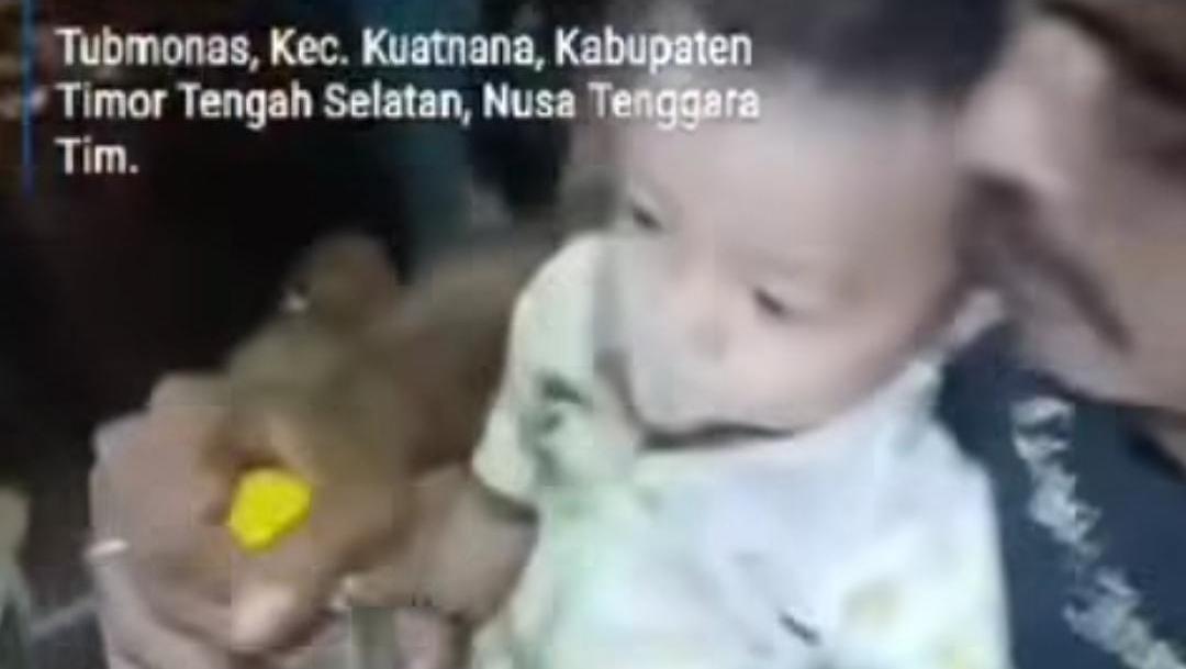 Ayah Di Ntt Paksa Bayi 11 Bulan Minum Miras Polisi Turun Tangan