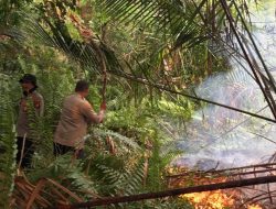 Berkat Laporan 110, Kebakaran Lahan Meranti Cepat Dipadamkan Tim Gabungan