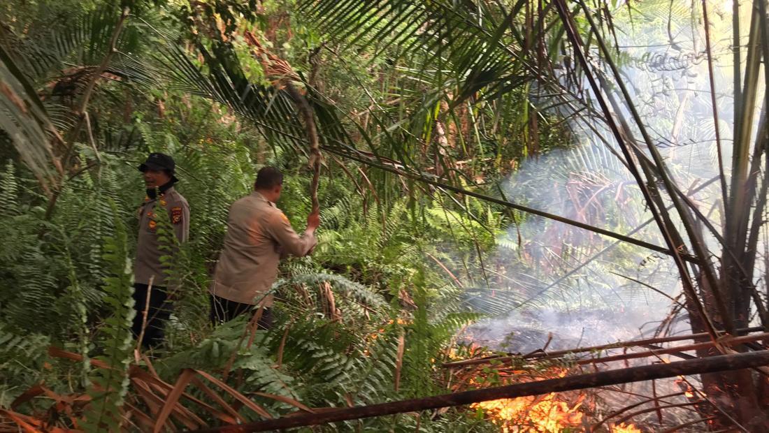 Berkat Laporan 110 Kebakaran Lahan Meranti Cepat Dipadamkan Tim Gabungan