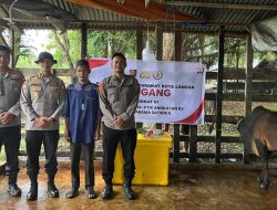 Mahasiswa STIK Salurkan 70 Sapi untuk Tradisi Meugang Warga Aceh Terdampak Bencana