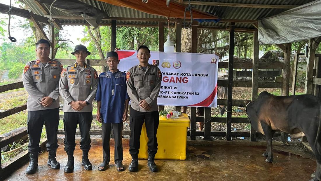 Mahasiswa Stik Salurkan 70 Sapi Untuk Tradisi Meugang Warga Aceh Terdampak Bencana