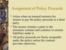 Memahami Assignment of Policy pada Asuransi: Definisi, Jenis, Manfaat, dan Risikonya