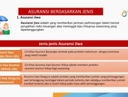 Memahami Perbedaan Asuransi Group Life dan Asuransi Individu untuk Perlindungan Finansial Optimal