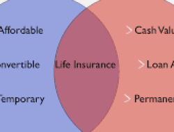 Memahami Perbedaan Asuransi Jiwa Term Life dan Whole Life: Panduan Lengkap Perencanaan Keuangan
