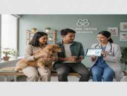 Mengapa Biaya Medis Hewan Peliharaan Sangat Mahal Tanpa Asuransi? Tinjauan Finansial dan Operasional