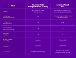 Mengerti Perlindungan Kendaraan: Apa Perbedaan Asuransi Mobil TLO dan All Risk?