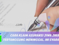 Panduan Lengkap: Bagaimana Cara Klaim Asuransi Jiwa Jika Tertanggung Meninggal
