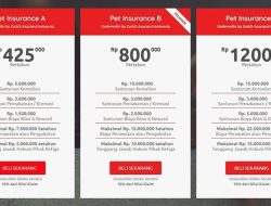 Panduan Memilih Asuransi Hewan Peliharaan untuk Perencanaan Keuangan