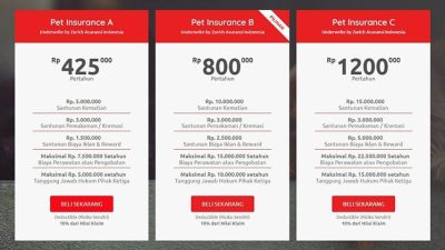 Panduan Memilih Asuransi Hewan Peliharaan untuk Perencanaan Keuangan